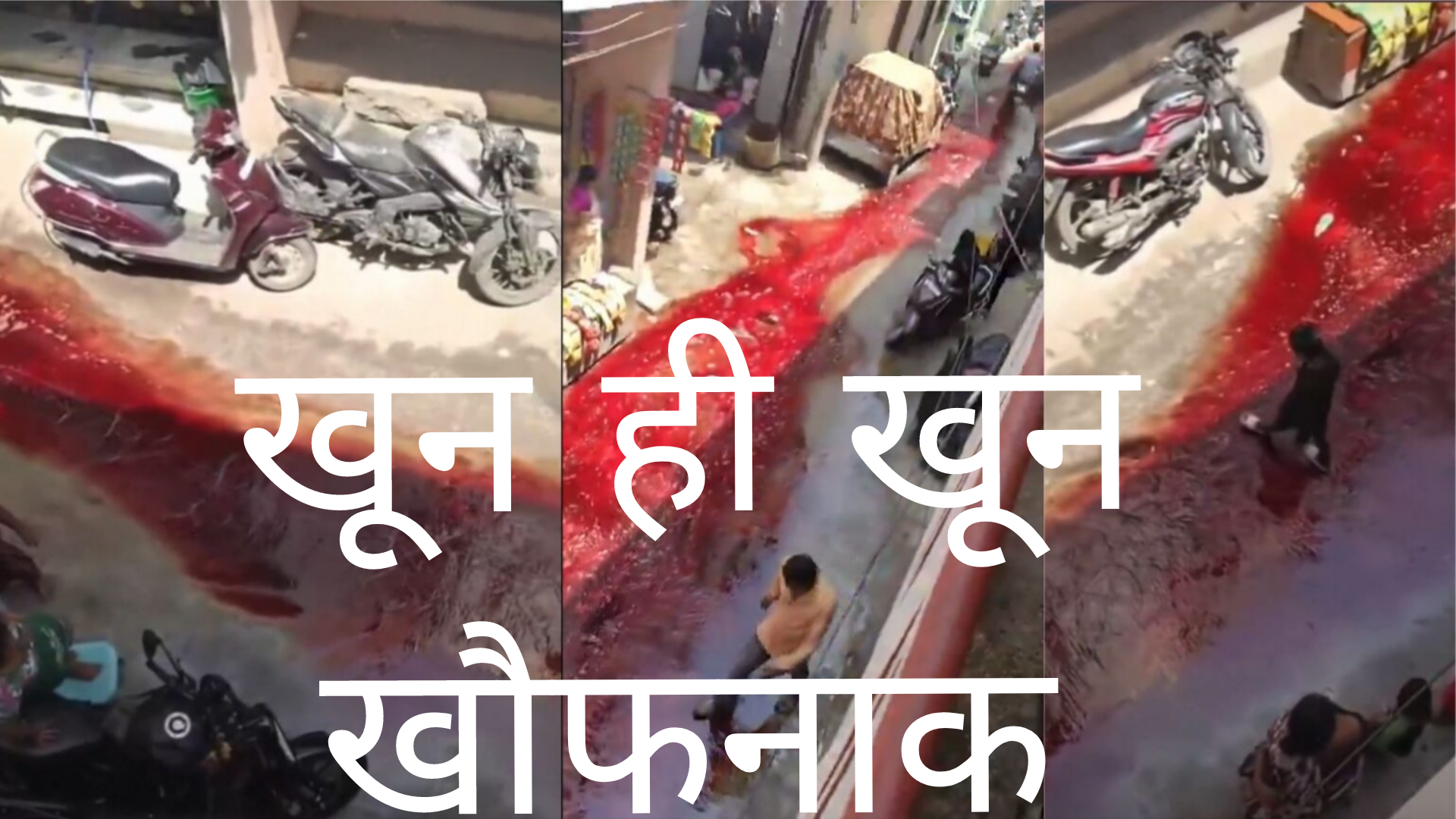 बकरीद पर हिंदू कॉलोनियों की सड़कों पर खून ही खून, मौके की खौफनाक Video
